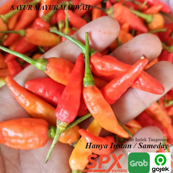 

Cabe Rawit Pedas 200 Gram - Cabai Fresh - Cabai Sayur Mayur Pilihan