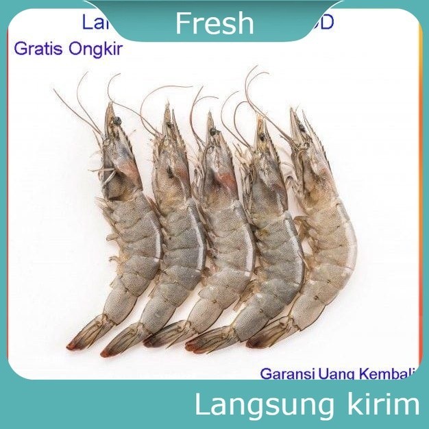 

Udang Segar Ukuran Sedang 250 Gram Fresh Sayur Mayur Sayur Sayuran Ikan Segar Makanan Sehat