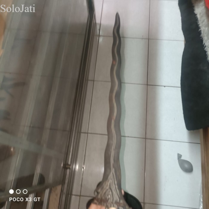 

keris sengkelat sodo sak ler sepuh majapahit milik kertarajasa jaya w antik