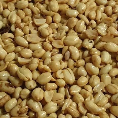 

TLMM Kacang Bawang 1kg (Sudah di Masak)