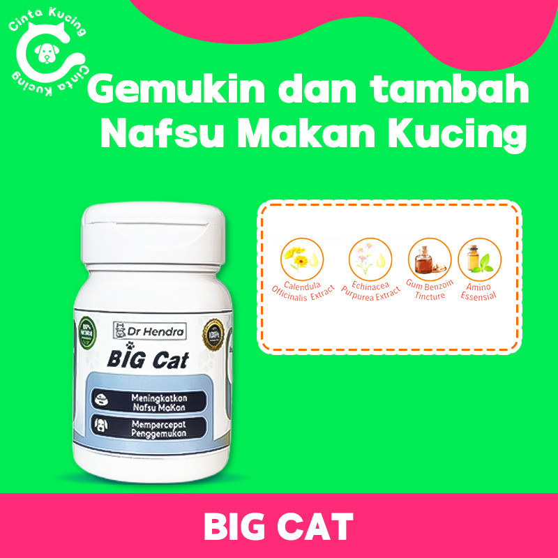 Vitamin Kucing BIG CAT Penambah Nafsu Makan Kucing Obat Nafsu Makan Kucing Obat Penggemuk Kucing Vit