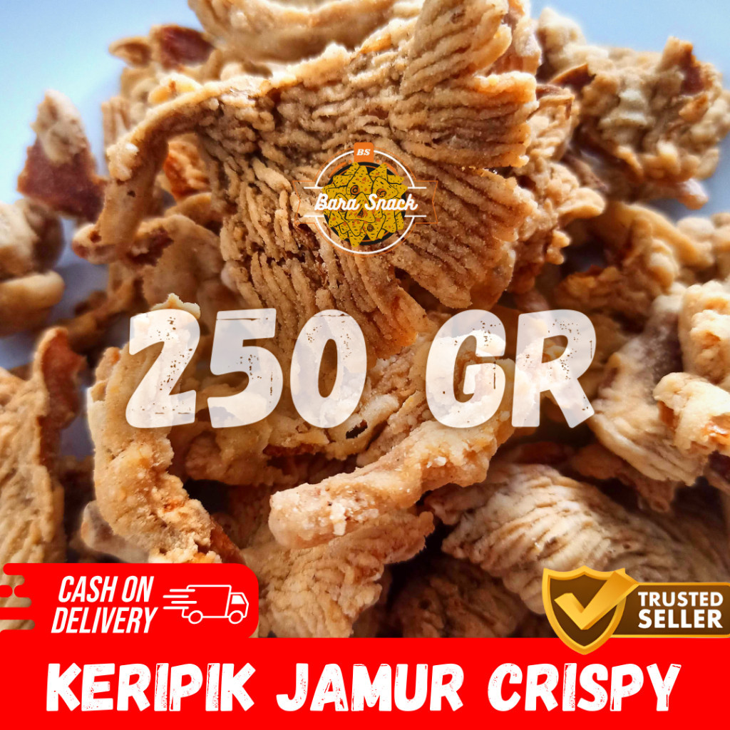 

[ 250gr ] Keripik Jamur Gurih Cap RBK Premium / Kripik Jamur Crispy / Camilan Snack Kiloan Murah