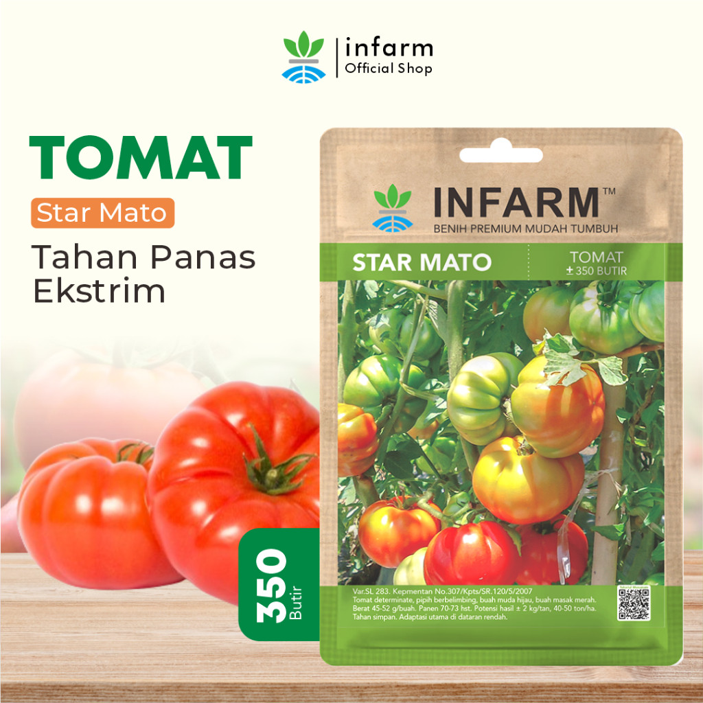 BENIH JAYA - Benih Buah Tomat Mawar Super, Bibit Buah Tomat Mawar Premium Biji Buah Tomat Berkualita