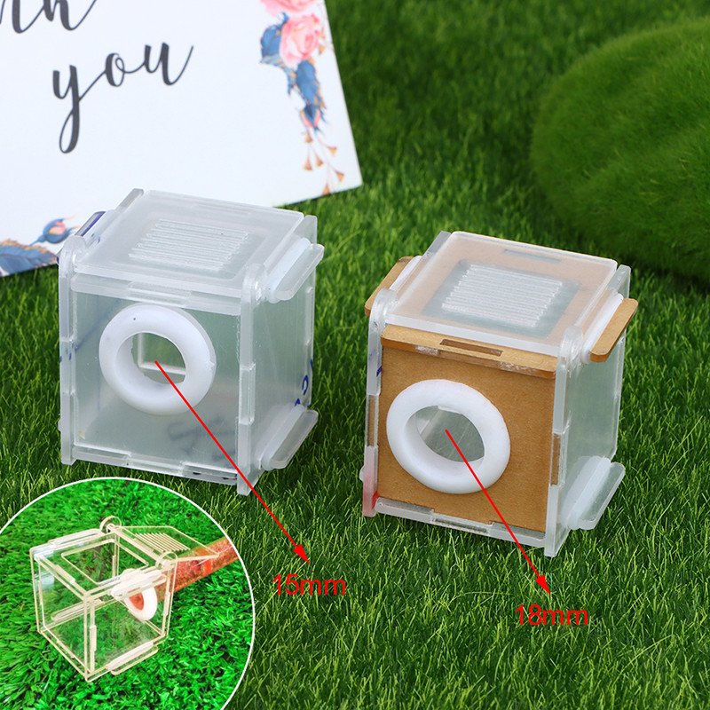 Acrylic High Transparent Ant Activity Area Test Tube Connection Nest DIY Ant Farm Feeding Box 15/18m