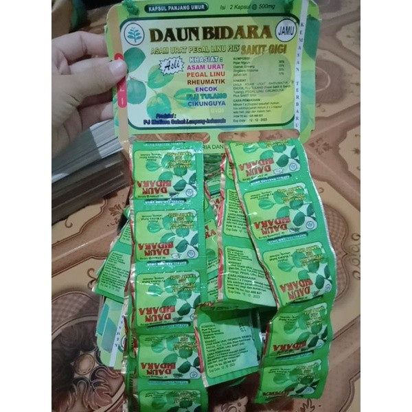 

Daun Bidara kemasan hijau