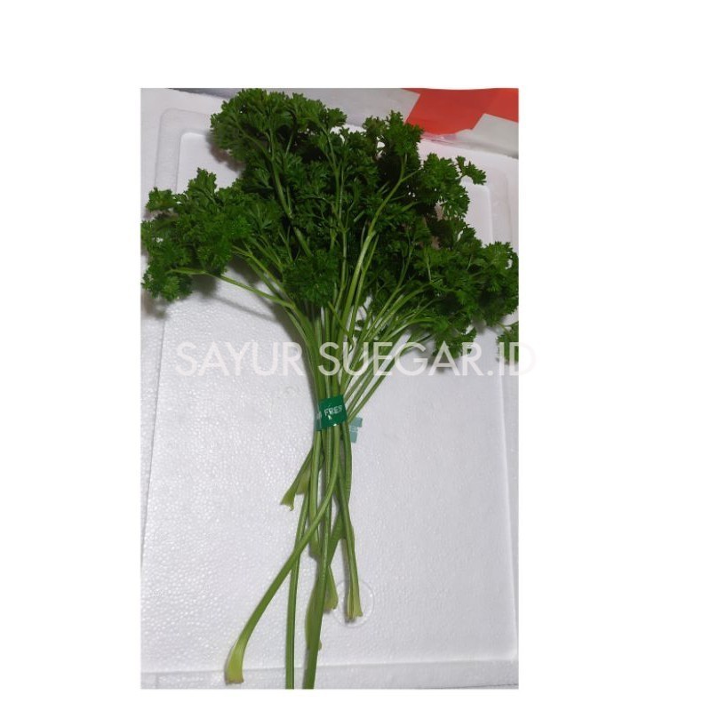 

parsley/peterseli 250 gram