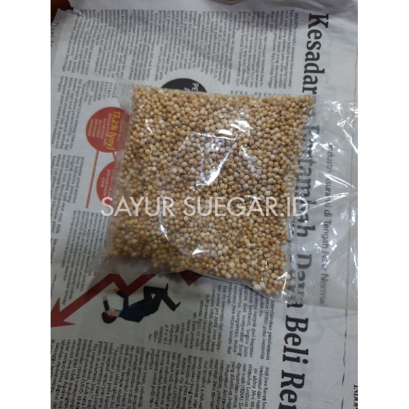 

ketumbar utuh 100 gram