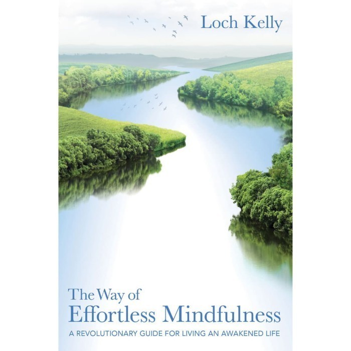 

The Way of Effortless Mindfulness A Revolutionary Guide for Livin