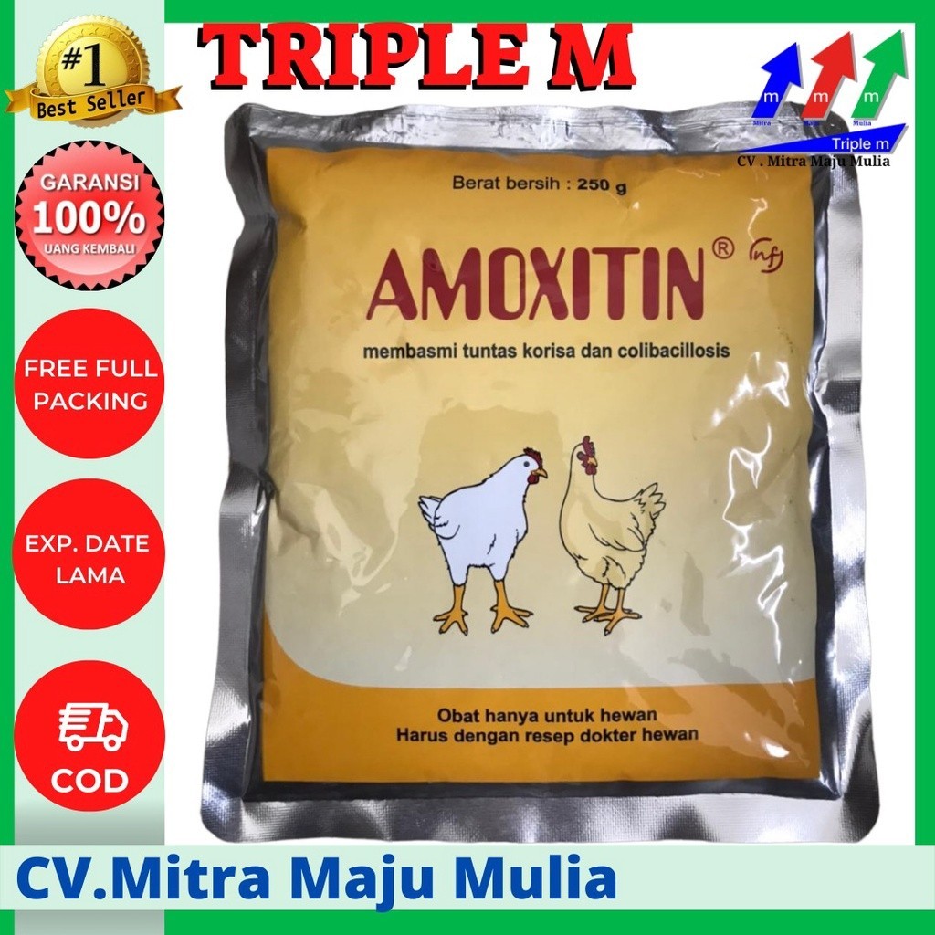 Amoxitin 250 gram MEDION obat korisa