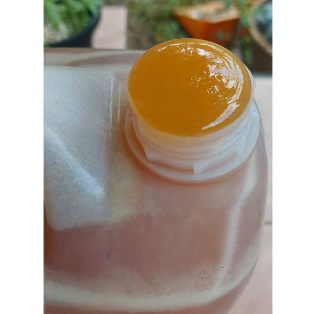 

madu sidr malki 7 kg dari yaman