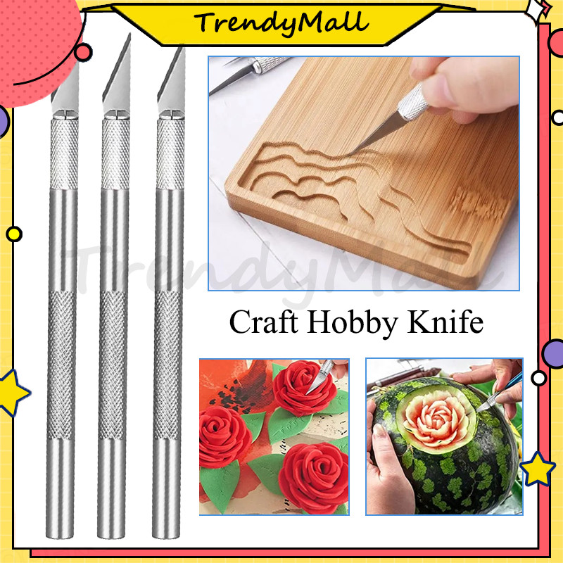 

Pisau Ukir Seni /Cutter Pen /Crafting Art Knife /Pen Ukir /Pen-Type Precision Art /Pisau Seni