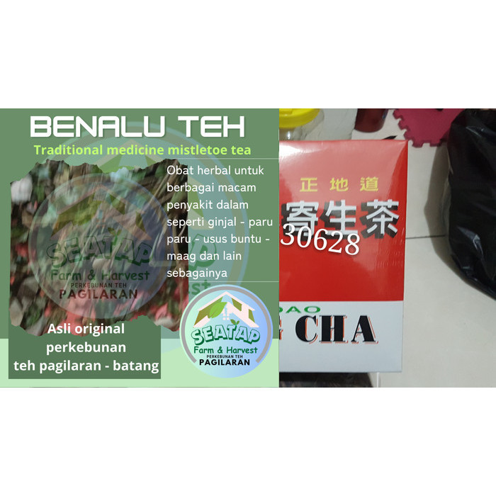 

teh daun benalu kering 500g 500 g gr 500gr gram 500gram