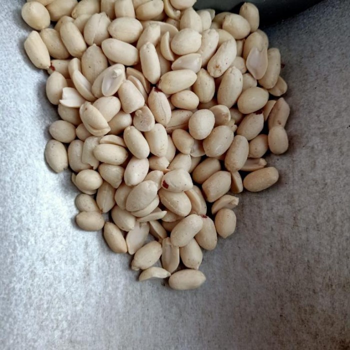 

Kacang Tanah Kupas Bersih 1 KG Kilo Bukan Kacang Lokal - 25/29 Jumbo