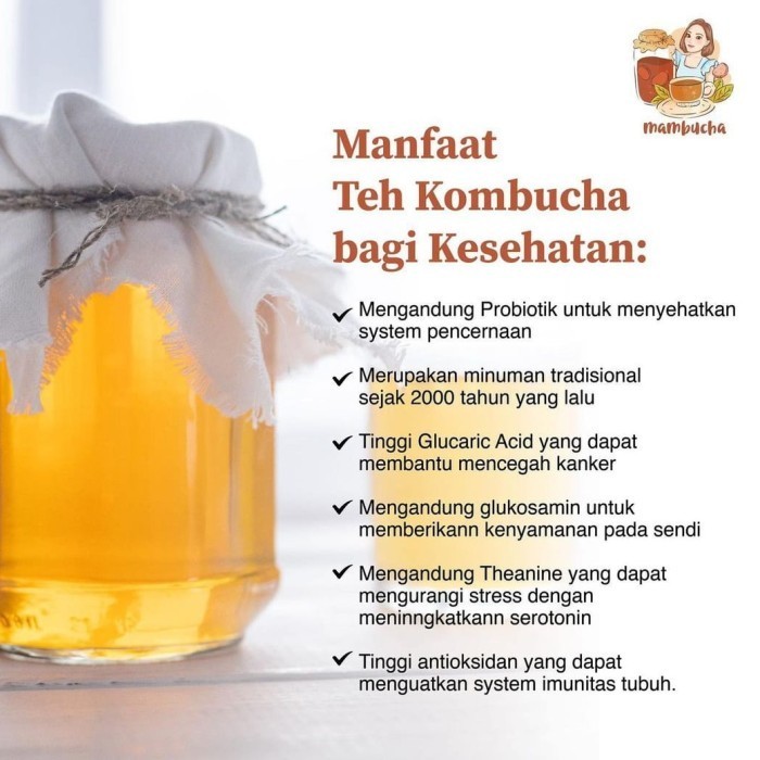 

Kombucha Original Mambucha 1 Liter