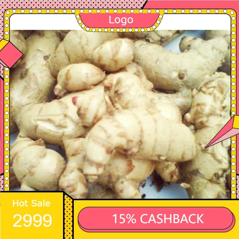 

Kunyit Putih 1kg Temu Putih CURCUMA ZEDOARIA 1 KG