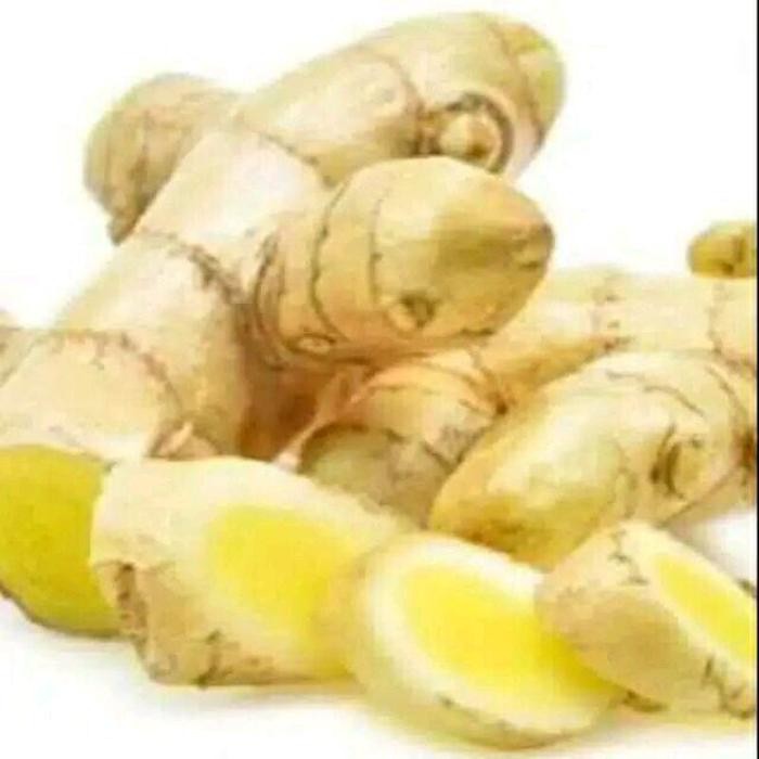 

Herbal Temu Mangga Segar 500gr