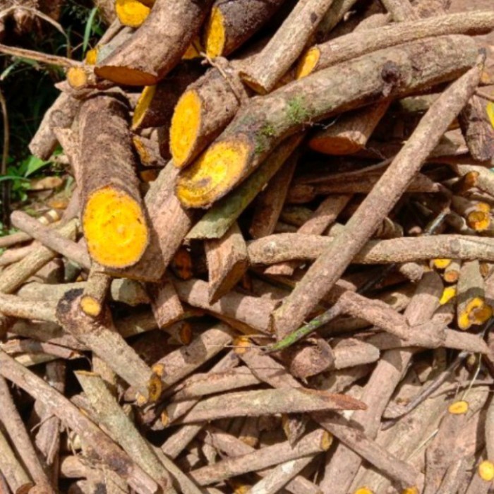 

Ready stok New Promo AKAR KAYU KUNING /AKAR KI KONENG ASLI OBAT HERBAL 250gram