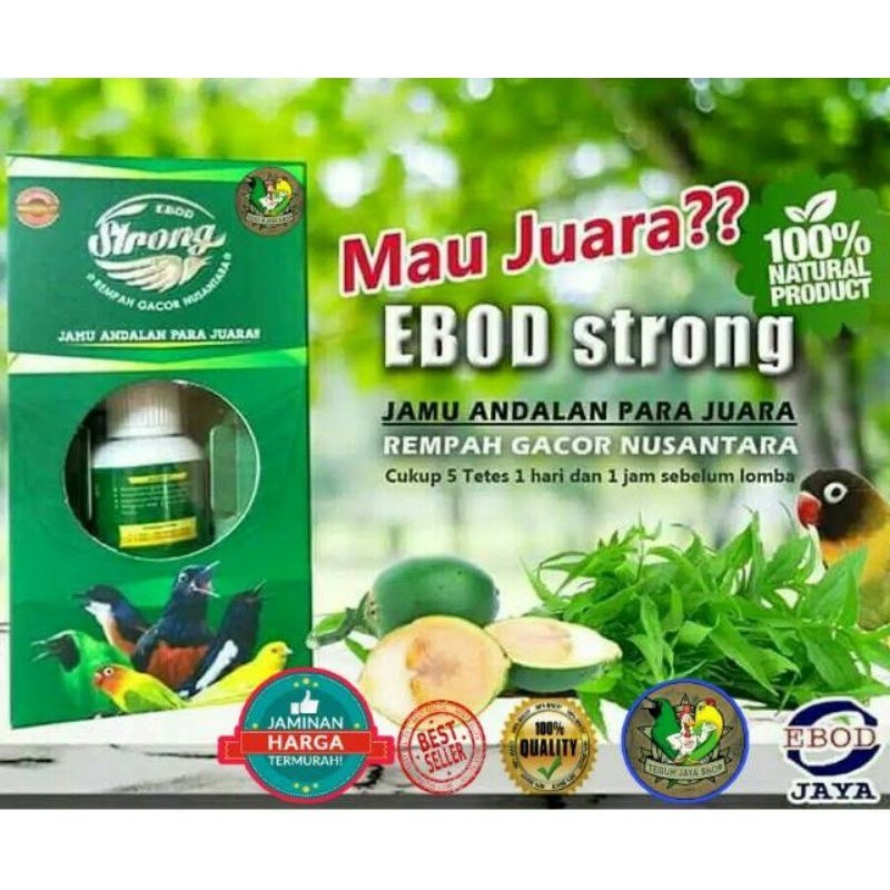 Ebod strong original expired panjang 2028
