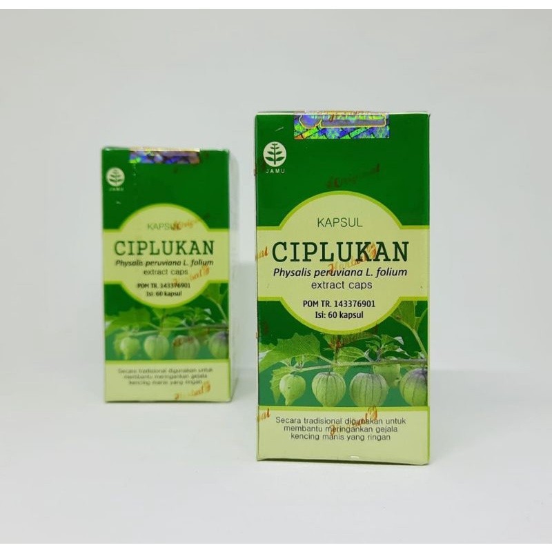 ASLI Kapsul Ciplukan Tazakka Obat Herbal Diabetes