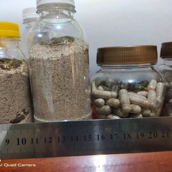 

Kapsul Jangkrik Sejuta Manfaat 50pcs