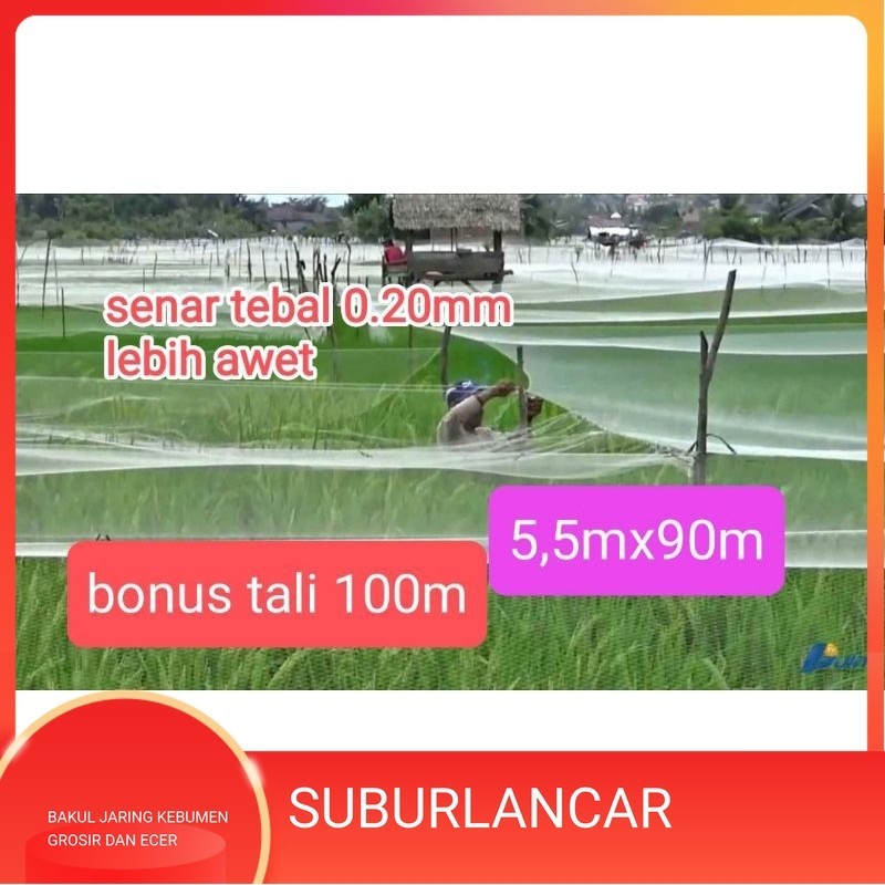JARING BURUNG SAWAH SENAR TEBAL 0.20MM JARING PENGAMAN HAMA BURUNG PIPIT BURUNG EMPRIT SAWAH