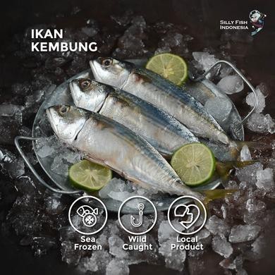 

IKAN KEMBUNG FROZEN Pack
