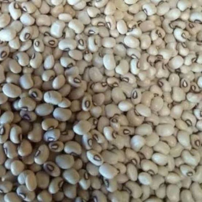

Kacang Putih 250gr