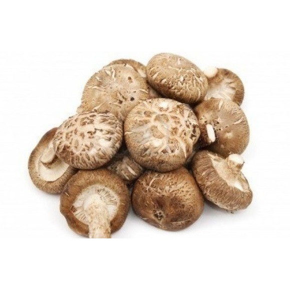 

Jamur Shitake 100gram / Shintake Shiitake Mushroom Dry Hioko Hioco