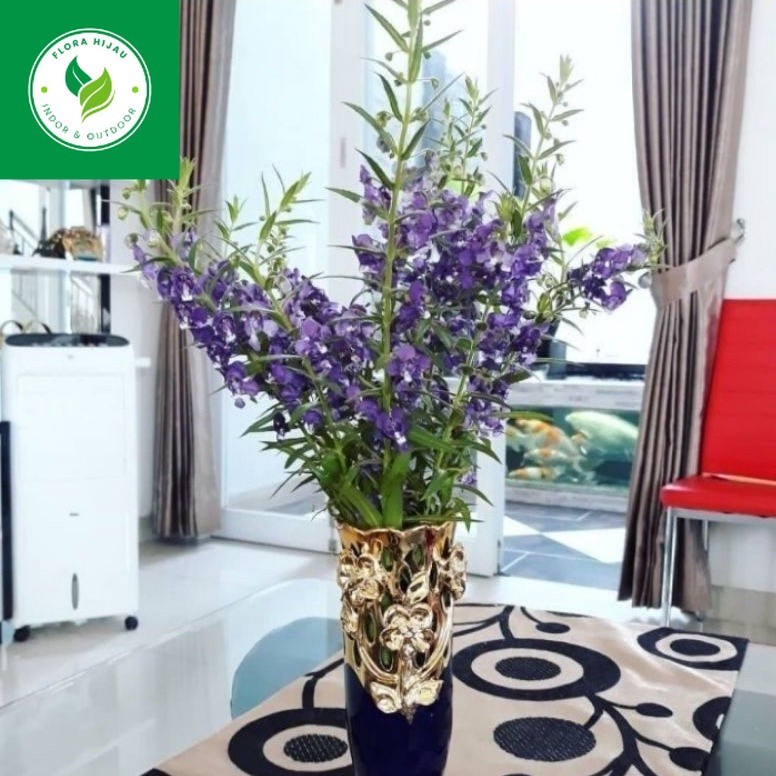 ~ ( BISA COD ) Tanaman Bunga Lavender Asli Pengusir Nyamuk / Tanaman Hias Lavender Bunga Ungu & Puti