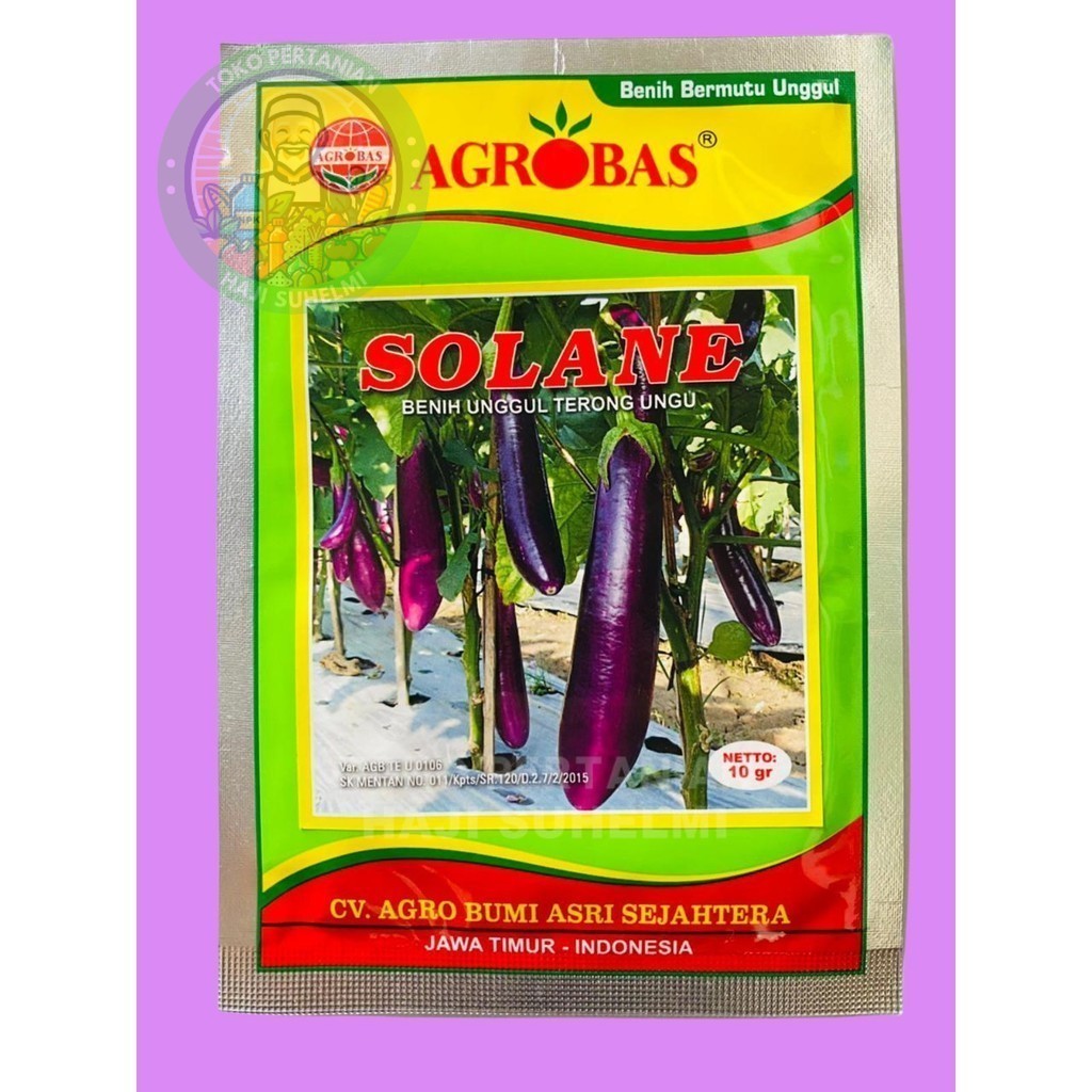 Benih Unggul Terong Ungu SOLANE 10gr