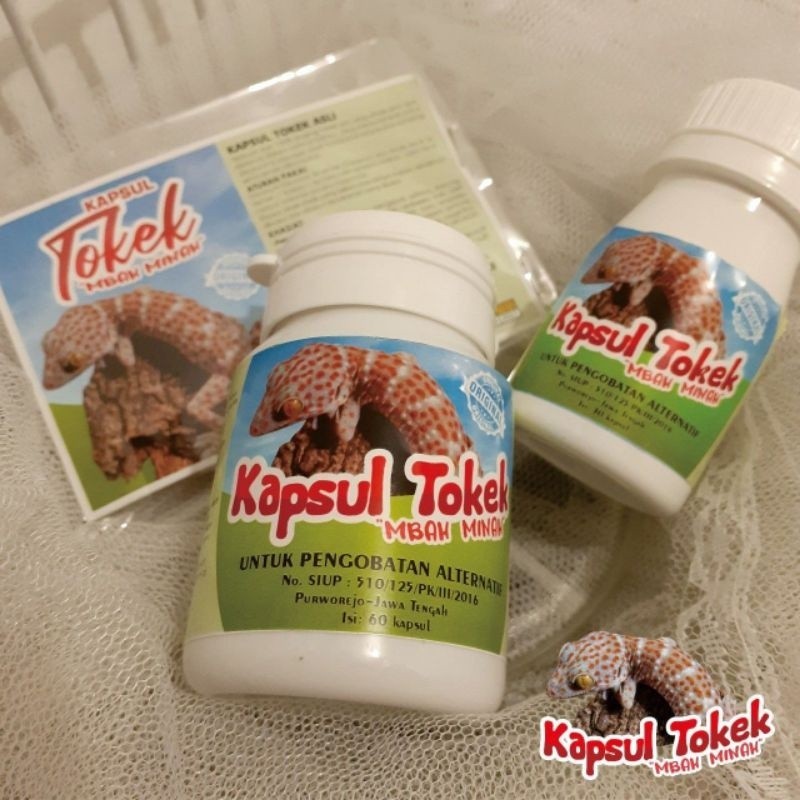 Kapsul Tokek 100% Daging Tokek Asli. Kapsul Tokek Mbah Minah