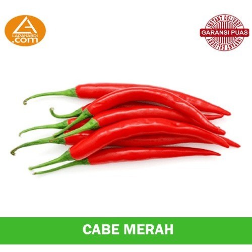 

Cabe Merah 250gr Sayur Segar Garansi Termurah