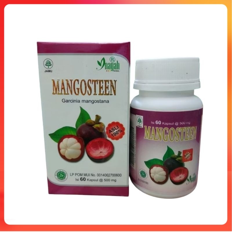 Kapsul Manggis Mangosteen  Asli 100%