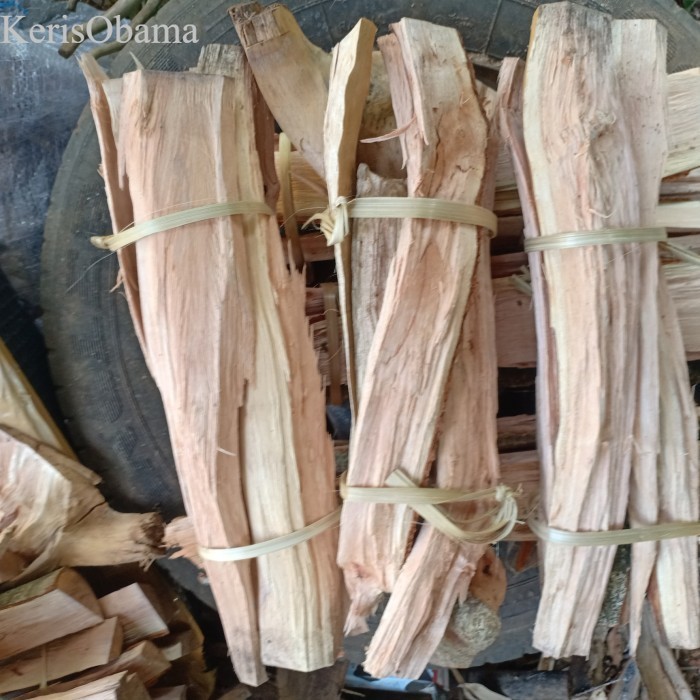 

Kayu rambutan||kayu bakar rambutan api unggun 1 ikat murah