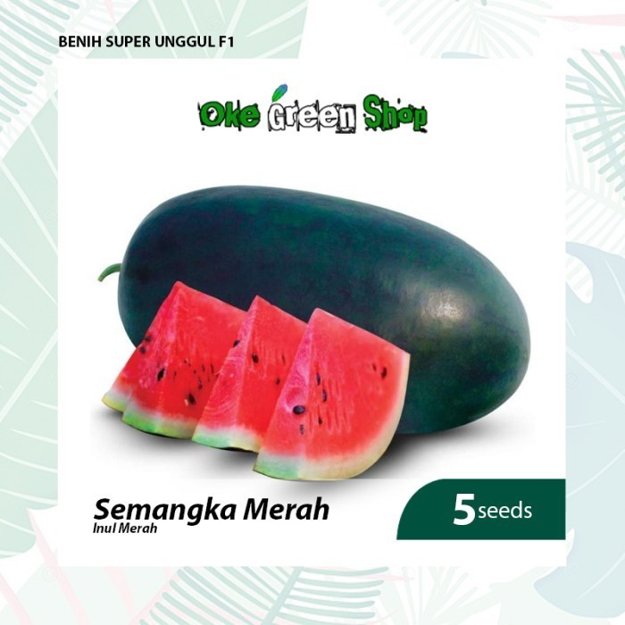 Benih Seribuan - 5 Biji Benih Bibit Semangka Inul Merah Unggul