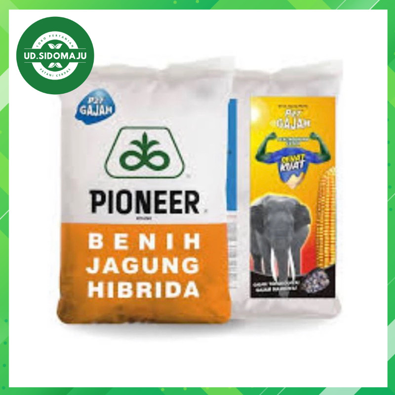Benih Bibit Jagung Pioneer P27 Gajah Original 1 Kg