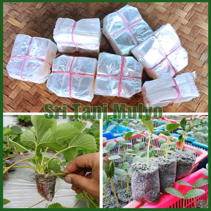 Polybag Semai Kecil 1000 Lembar Plastik polibek / Polybag pot kantong semai benih bibit tanaman