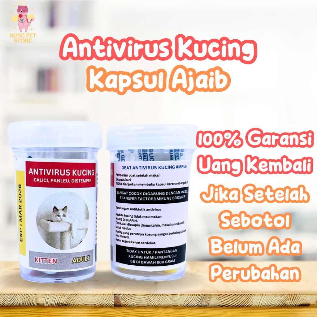 OBAT ANTIVIRUS PANLEU, CALICI, DISTEMPER, FIP OBAT VIRUS KUCING CALICI PANLEUKOPENIA DISTEMPER FIP P
