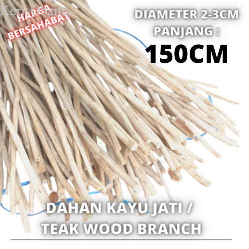 

[ Promo ] Teak Wood Branch 150 cm dahan ranting kayu jati macrame murah