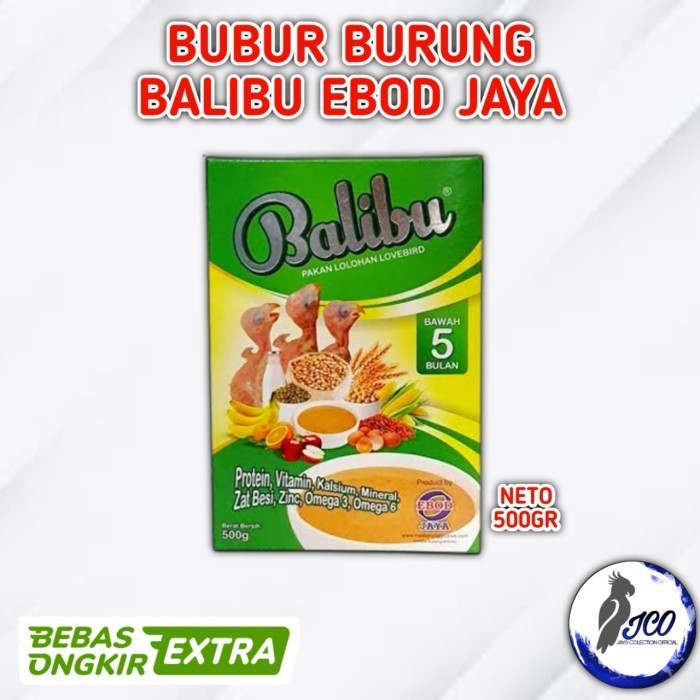 BALIBU BUBUR LOLOHAN BURUNG PIYIK PAKAN BURUNG PIYIK BALIBU EBOD JAYA