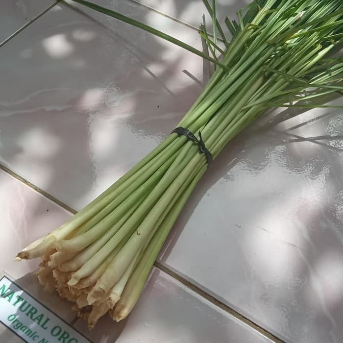

Hafika Serai Sereh Hijau Segar Organik 500 Gram