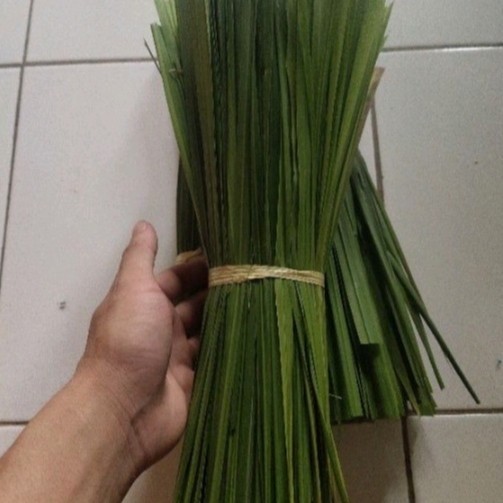 

daun alang alang fresh herbal alami 500gram