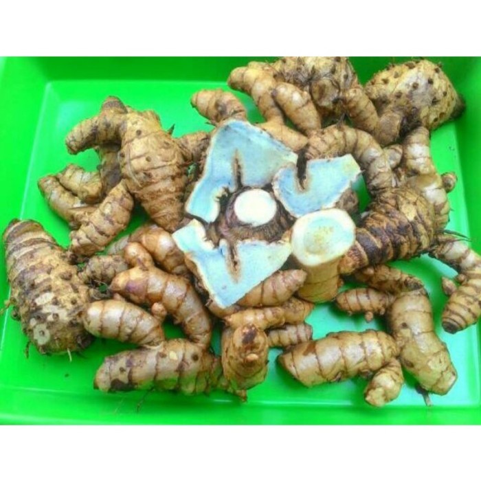 

Temu Hitam/temu ireng segar 1 kg