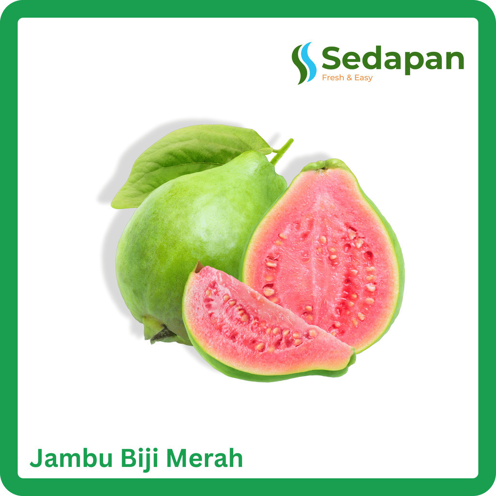 

Jambu Biji Merah