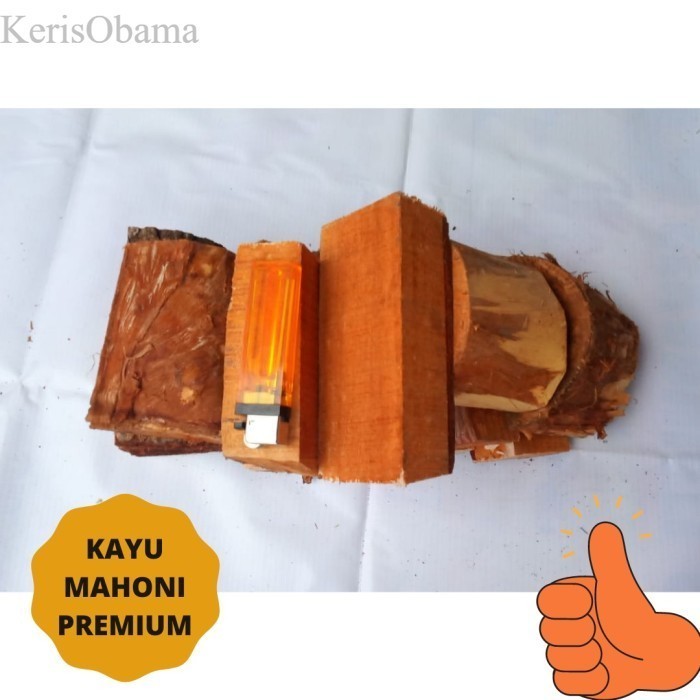 

Kayu Bakar Mahoni Premium (smoking wood/fire wood) murah