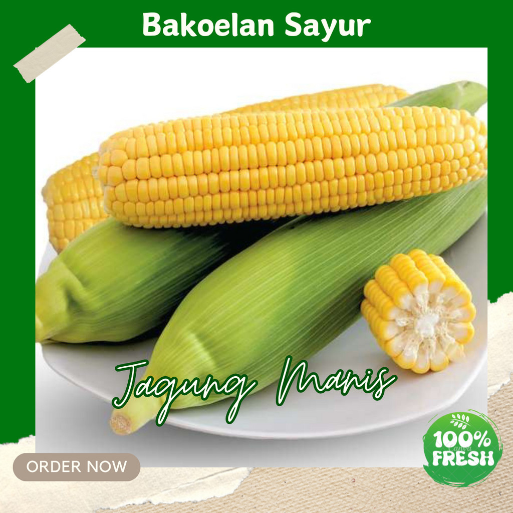 

JAGUNG MANIS SEGAR SAYUR 1 BUAH FRESH