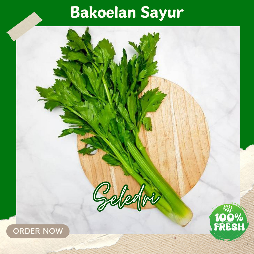 

KUNEKA DAUN SELEDRI SEGAR CELERY FRESH 150GR PRODUCT BERKUALITAS