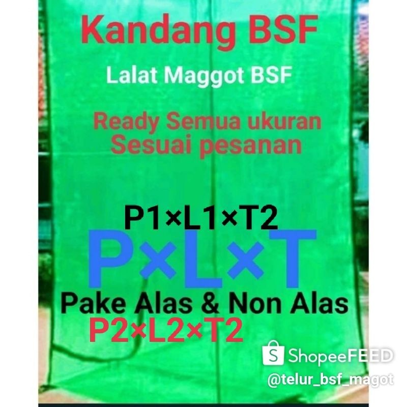 Kandang lalat maggot bsf portabel 1×1×2 paling murah termurah