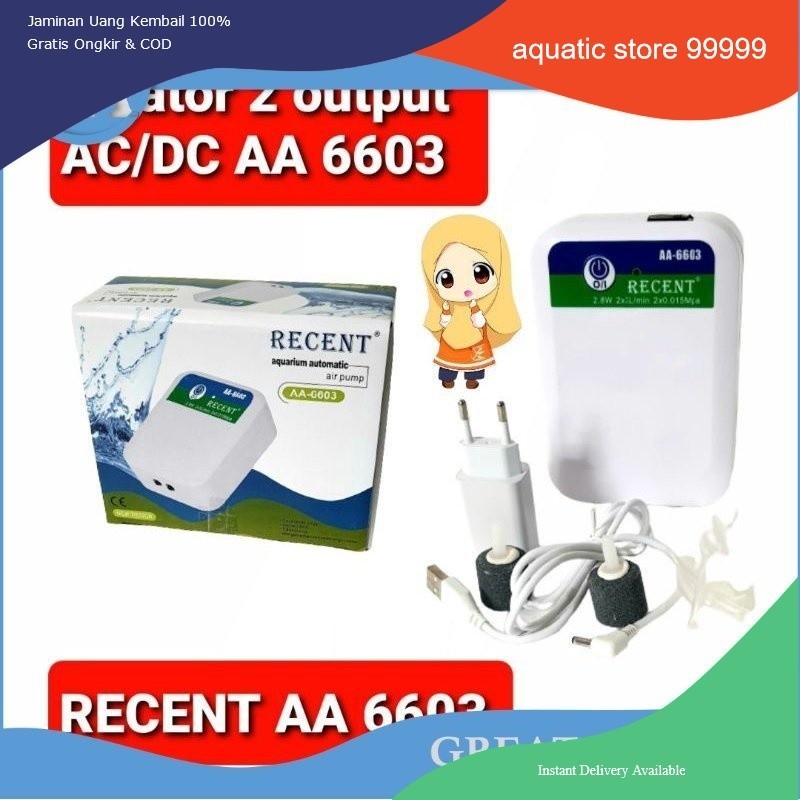 aerator AC DC 2 output recent AA 6603 pompa udara AC DC