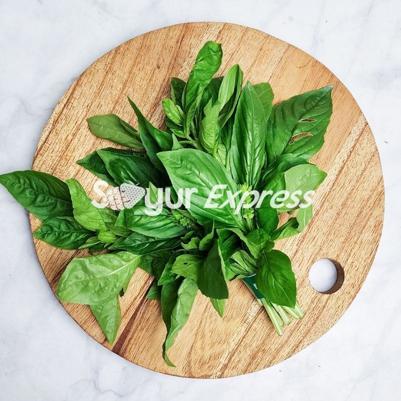 

Syegar Fresh Daun Basil 50gr